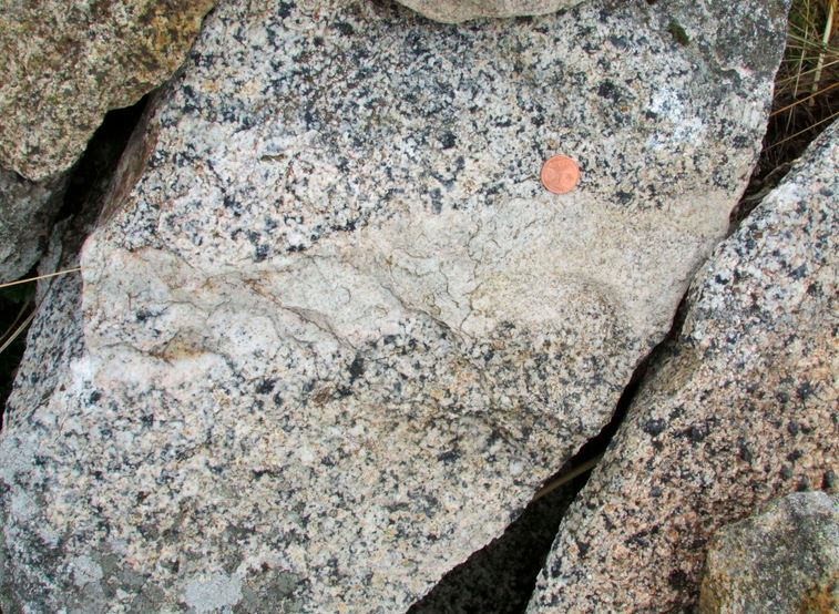 FIGURA 5. Dique aplítico que presenta un contacto neto con el granito. La Pedriza (Sierra de Guadarrama).